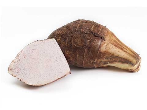 GPL - Productos Étnicos Malanga o Taro