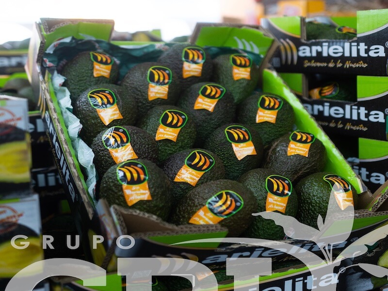 Aguacates en campaña de Perú