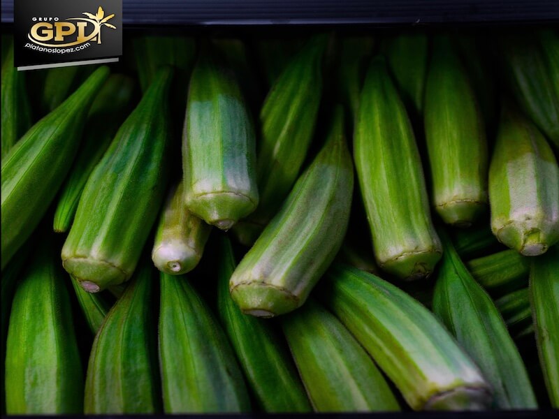 La okra es el súper alimento que reduce el colesterol y la diabetes