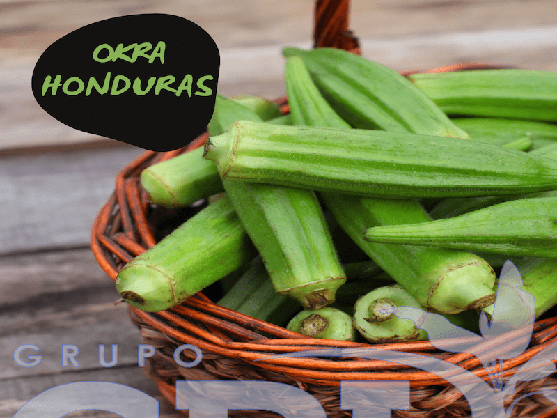 Nuestra okra de Honduras