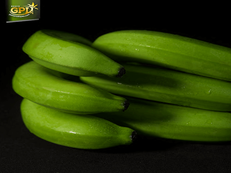 beneficios y propiedades del plátano macho