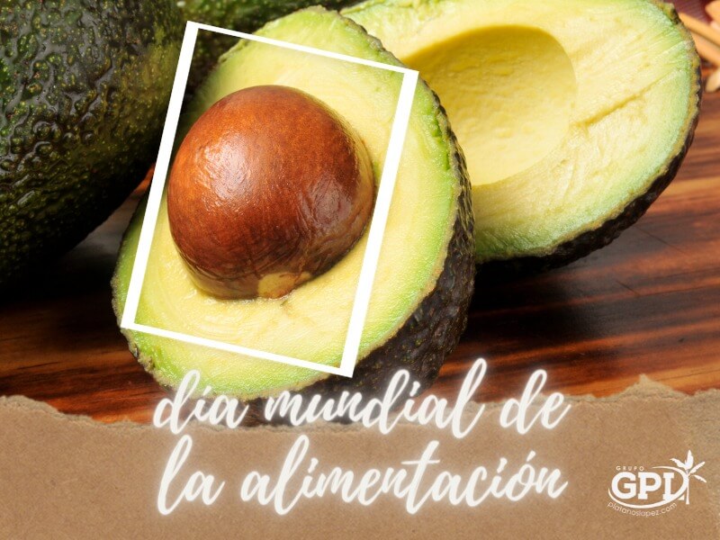 Día Mundial de la Alimentación 2022