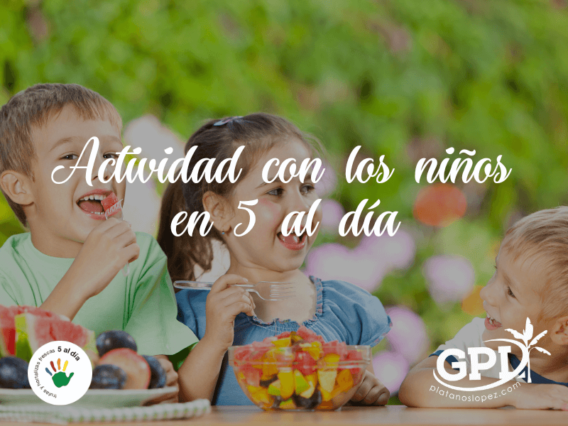 colaboracion 5 al dia