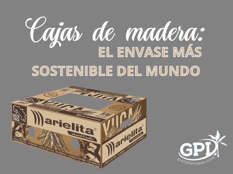 caja sostenible