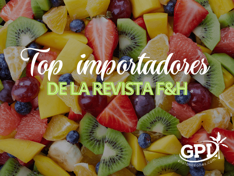 top importadores españoles