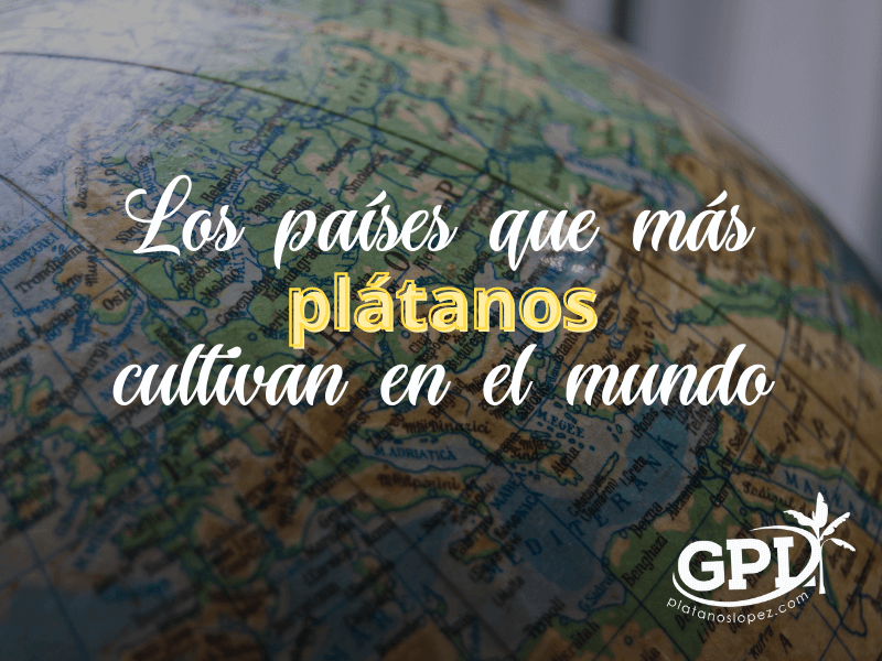 paises productores de platano