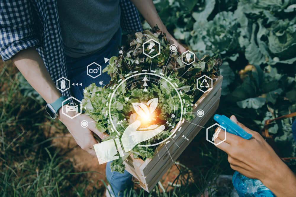 innovacion sostenible gpl