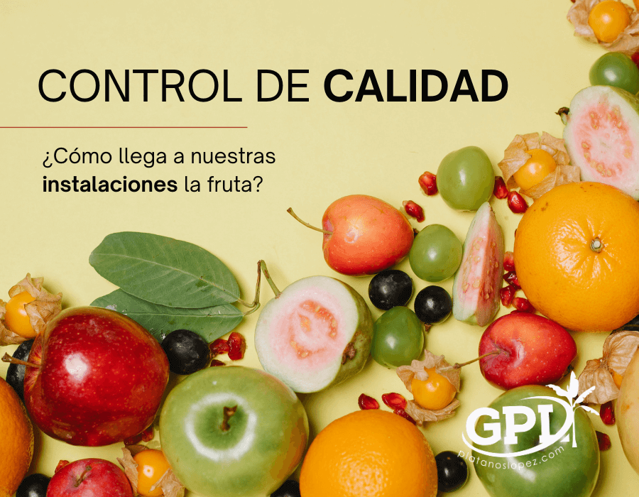 GPL control de calidad frutas