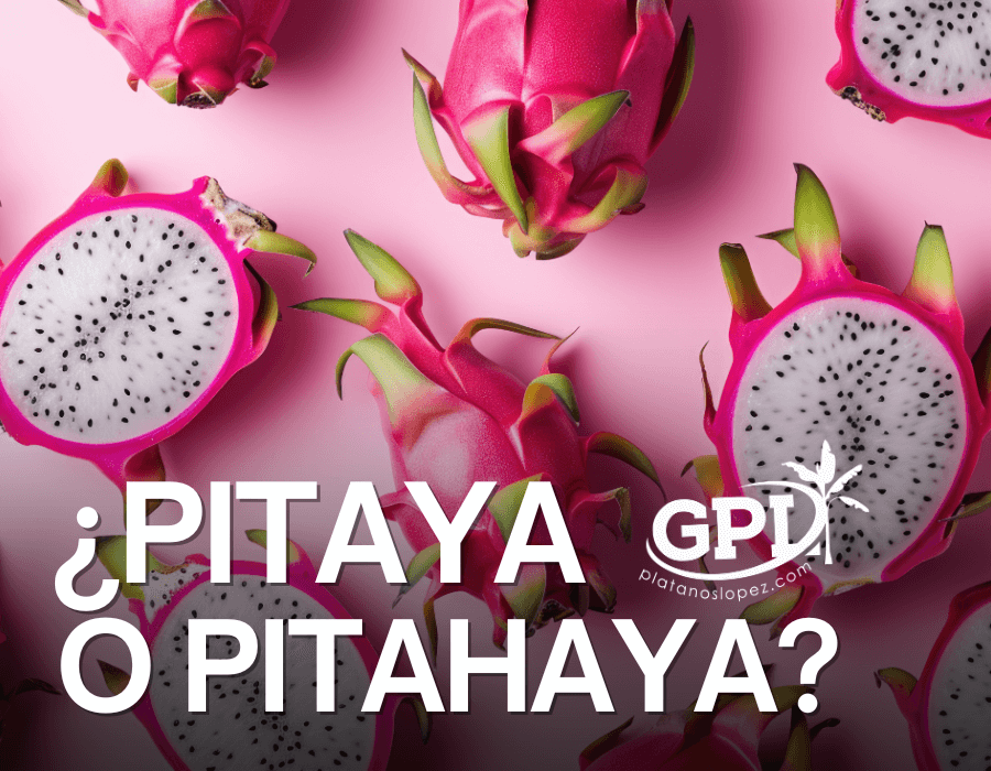 GPL pitaya o pitahaya