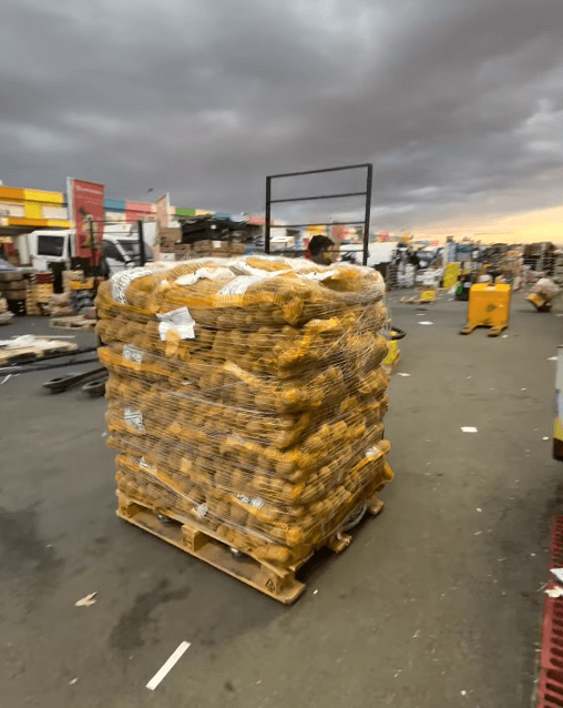 Captura de pantalla 2024-11-18 a las 8.53.16
