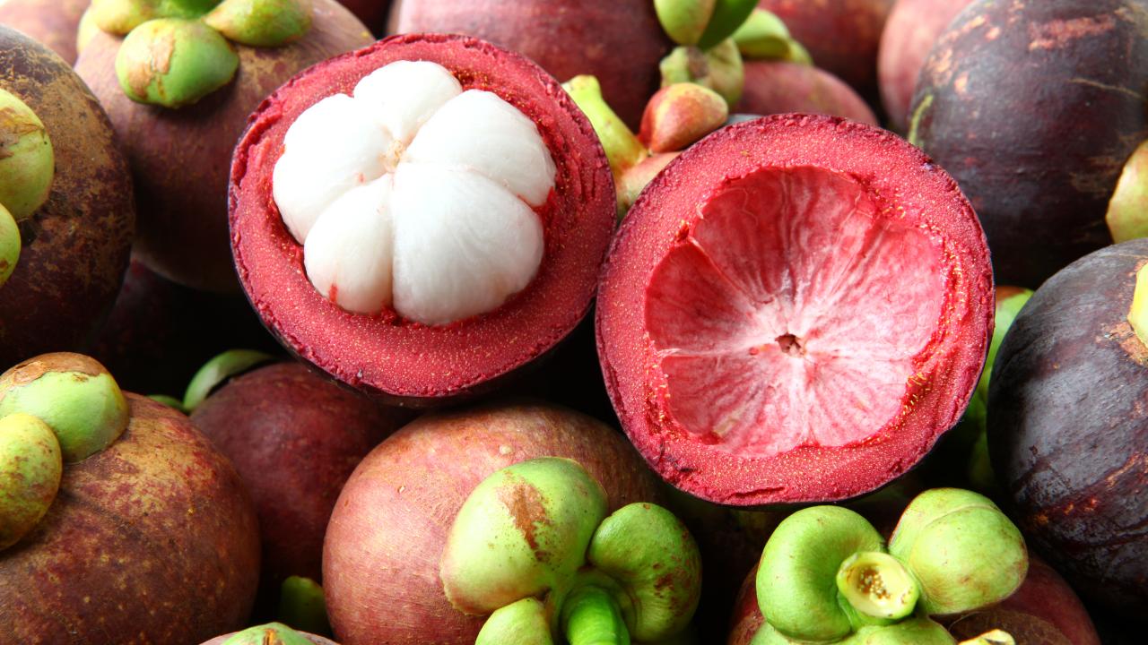 Mangostan Frutas tropicales exóticas