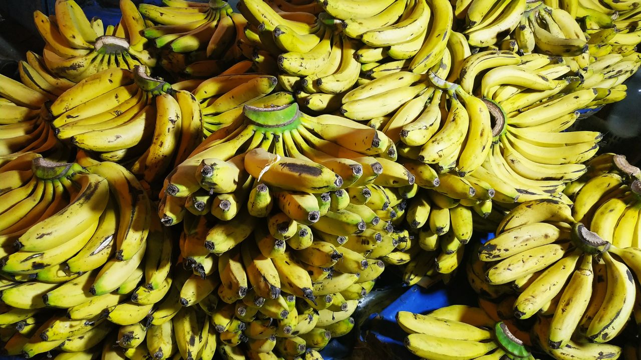 maduración de frutas en cámara